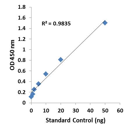 Illustrated standard curve.