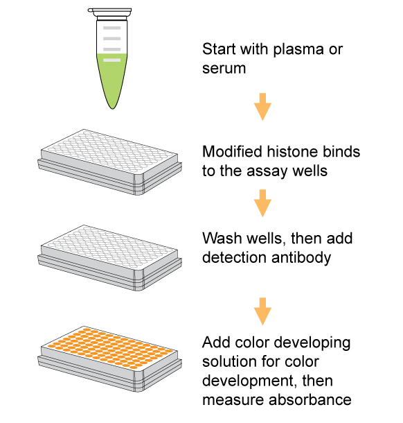 Schematic procedure of the EpiQuik Circulating Modified Histone H3 Multiplex Assay Kit (Colorimetric).