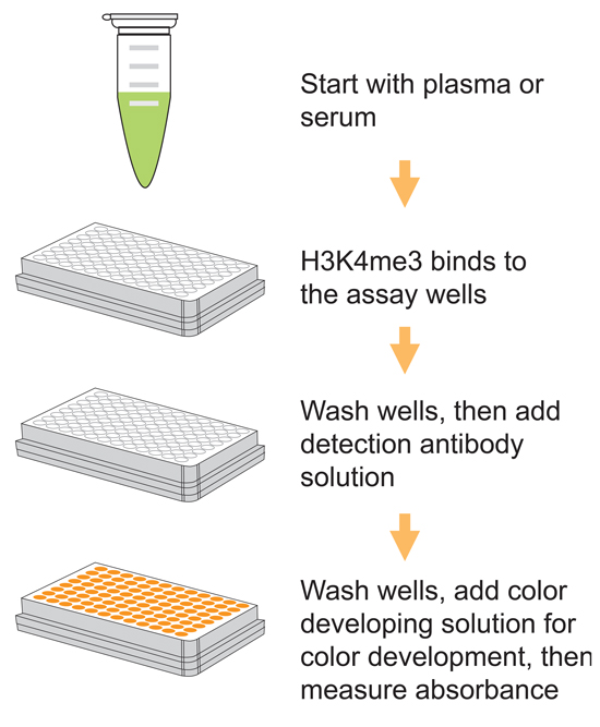 Schematic procedure of the EpiQuik Circulating Trimethyl Histone H3K4 ELISA Kit (Colorimetric).