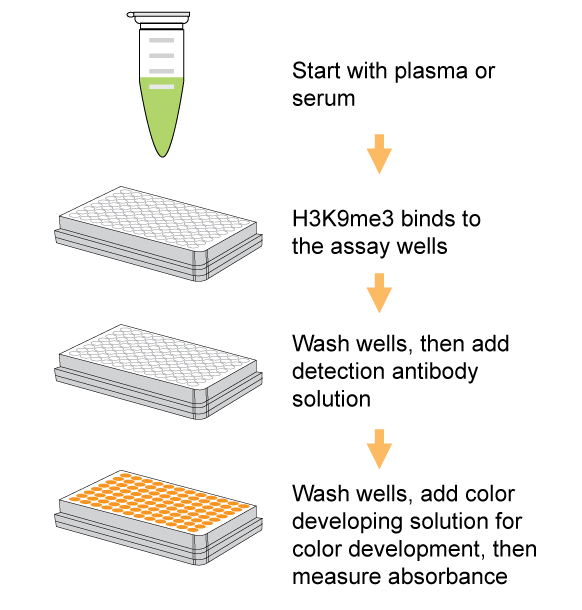 Schematic procedure of the EpiQuik Circulating Trimethyl Histone H3K9 ELISA Kit (Colorimetric).