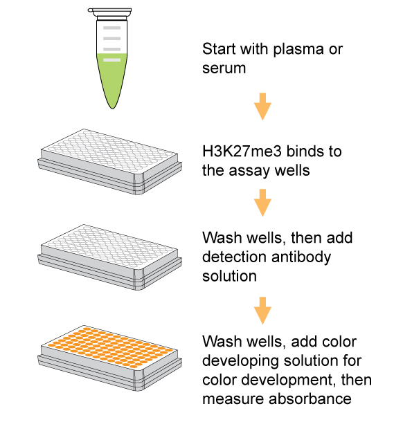 Schematic procedure of the EpiQuik Circulating Trimethyl Histone H3K27 ELISA Kit (Colorimetric).