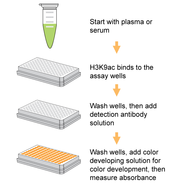 Schematic procedure of the EpiQuik� Circulating Acetyl Histone H3K9 ELISA Kit (Colorimetric).