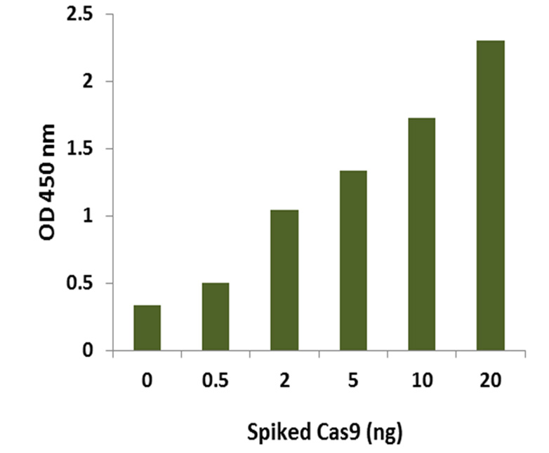 Cas9 proteins are spiked into Hela cell extracts at the different concentrations. The amount of the Cas9 proteins was measured using the EpiQuik CRISPR/Cas9 Assay ELISA Kit (Colorimetric).