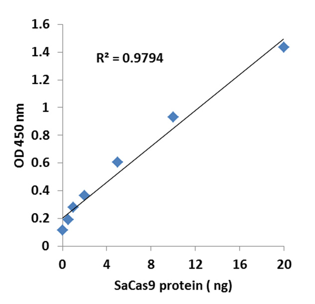 Illustrated standard curve.