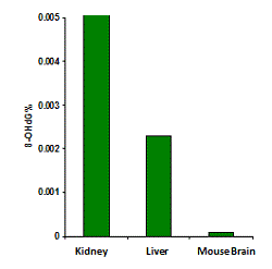 Percentage of 8-OHdG in different tissues measured with the EpiQuik&trade; 8-OHdG DNA Damage Quantification Direct Kit (Fluorometric).