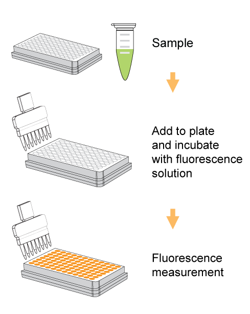 EpiQuik In-Situ and Ex-Situ Hydrogen Peroxide (H2O2) Assay Kit