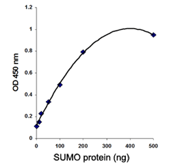 Illustrated standard curve generated with SUMO protein control.