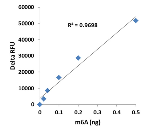 m6A standard control was added into the assay wells at different concentrations and then measured with the EpiQuik m6A RNA Methylation Quantification Kit (Fluorometric).