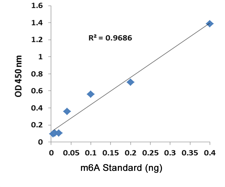 m6A standard control was added into the assay wells at different concentrations and then measured with the EpiQuik m6A DNA Methylation ELISA Kit (Colorimetric).
