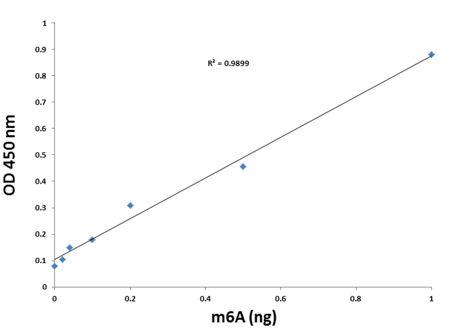 m6A standard was added into the assay wells at different concentrations and then measured with the MethylFlash Urine N6-methyladenosine (m6A) Quantification Kit (Colorimetric).