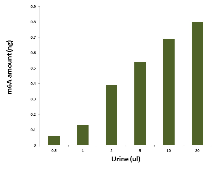 m6A level is quantified from different volumes of human urine using the MethylFlash Urine N6-methyladenosine (m6A) Quantification Kit (Colorimetric).