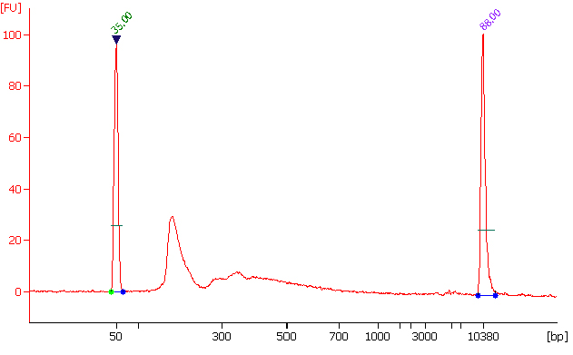 EpiQuik Viral RNA Extraction Fast Kit