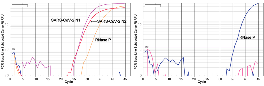 EpiMag Viral RNA Extraction Kit