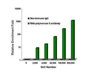 ChIP & ChIP-seq Chart