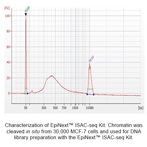 Chromatin accessibility data and epigenetic insights from EpiNext ISAC Kit for fast, in situ chromatin profiling and genome-wide analysis.