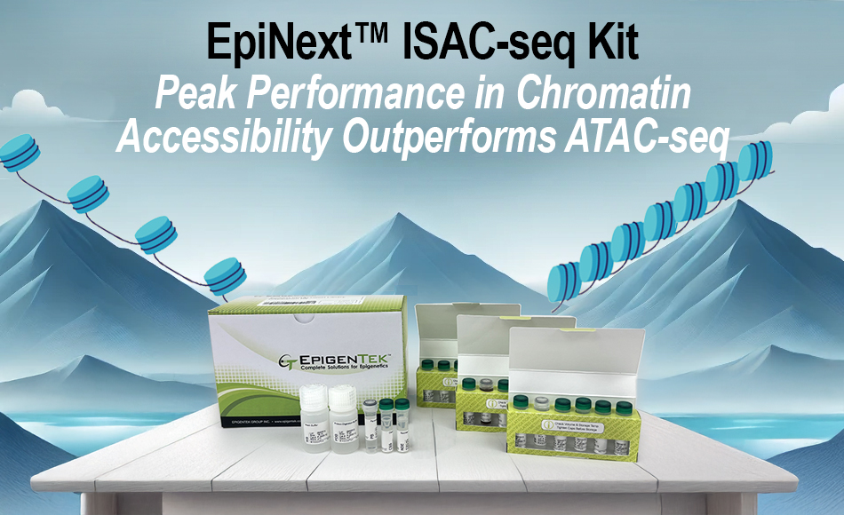 ISAC-seq Technology: Advanced Epigenetic Research Solutions for Chromatin Analysis