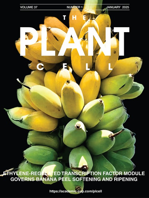 The Plant Cell journal cover