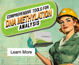 DNA Methylation Tools