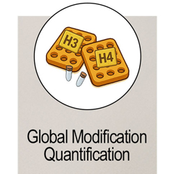 Global modification