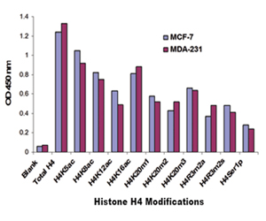 Global modification data