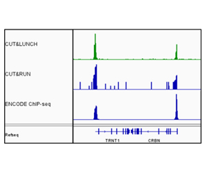 Chromatin Accessibility Chart