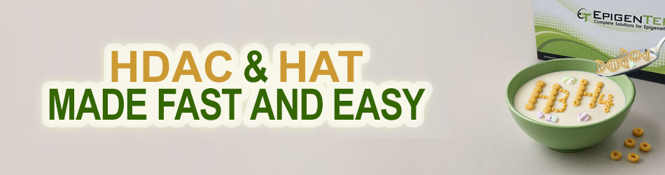 EpigenTek research assays banner