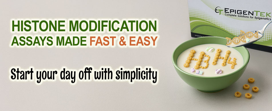EpiQuik Histone H3 Modification Multiplex Assay Kit banner