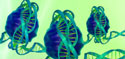 Chromatin & Transcription Knockout (KO) Antibodies