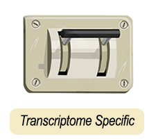 transcriptome specific vintage lever icon
