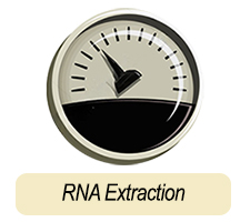 rna extraction vintage meter icon