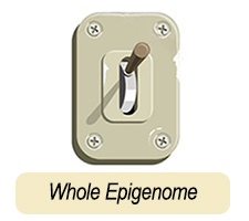 whole epigenome vintage switch icon