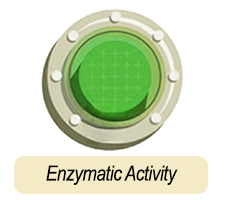 enzymatic activity vintage button icon