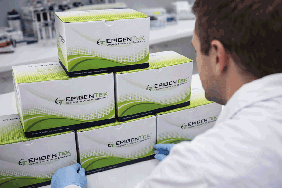 Epigenetics kits