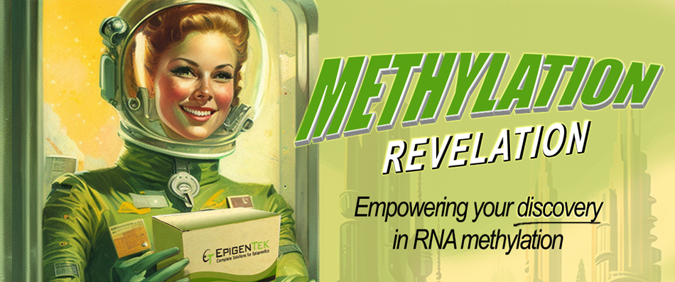 RNA Methylation Revelation retro banner