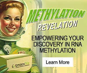 rna methylation ELISA category learn more
