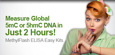 Global DNA Methylation