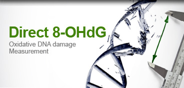 DNA Damage & Repair