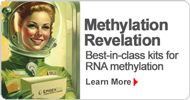 Methylation Revelation