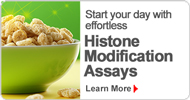 Histone Modification