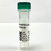 CRISPR-A-9000-100 sale