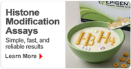 Histone Modification Assays Made Fast & Easy