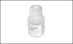 Methylamp Hot Taq EvaGreen qPCR Mix (no ROX)