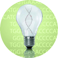 Custom Epigenetic Research Submit Services Inquiry Today!