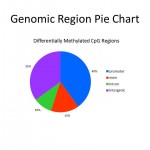 Genomic Region Pie Chart for Methyl-Seq Service