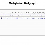 Methylation Bedgraph for Methyl-Seq Service