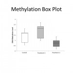 Methylation Box Plot for Methyl-Seq Service