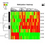 Methylation Heatmap for Methyl-Seq Service