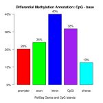 Differential Methylation Annotation for DNA Methylation Analysis services